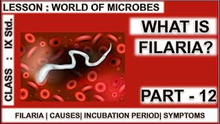 Filariasis  vector borne diseases  world of microbes for class 9 [upl. by Ragde]