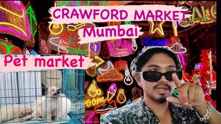 Crawford market X 🐶Pet market in MUMBAI \ 🌈NEON LIGHTS find for studio set up♥️ neonlight [upl. by Lluj]