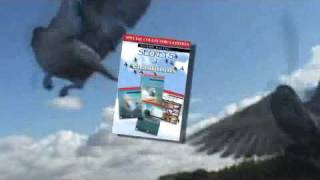 Pigeon Racing Secrets of Champions 1234 Collection [upl. by Annoirb]