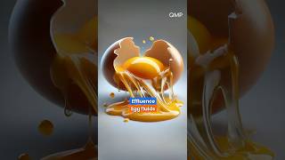 GRE Word Effluence Egg fluids [upl. by Keheley963]