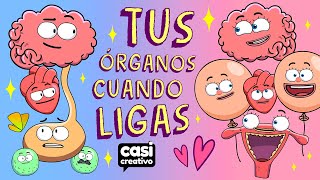 Tus Órganos Cuando Ligas  Casi Creativo [upl. by Enwahs]