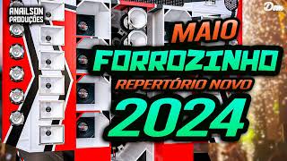 CD FORROZINHO PRA PAREDÃO MAIO 2024 • ANAILSON PRODUÇÕES [upl. by Aidile]