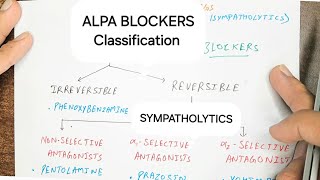 Alpha blockers Classification  Antiadrenergic Drugs  Pharmacology [upl. by Joachima]