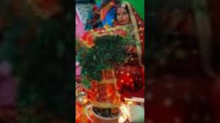 Tulsi vivah viralvideos shortsviral trendingshorts ytshorts viralreels trendingshorts [upl. by Aleibarg]