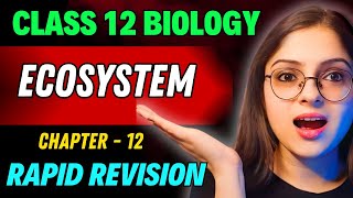 Ecosystem Rapid Revision 🔥 Full Revision in 30 Min  Class 12 Board Exam 2024 [upl. by Neyuq683]