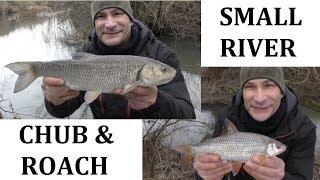 Roach amp Chub Fishing  Successful Small River Session  13119 Video100 [upl. by Heiner]