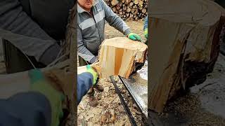 Log Splitter for two logsplitter machine woodsplitting [upl. by Sergius]