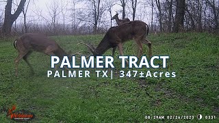 SOLD Hunting Land for Sale near Palmer TX in Ellis Co  Texas Real Estate [upl. by Zat565]