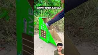 Jebakan burung kardus pigeon uniquetrap birds easytrap unboxing trapbox birdtrap [upl. by Brigham841]