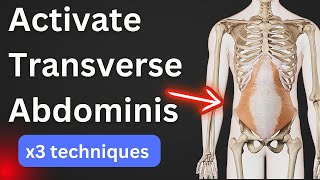 How to activate your Transverse Abdominis Muscle amp Pelvic Floor [upl. by Amlus918]