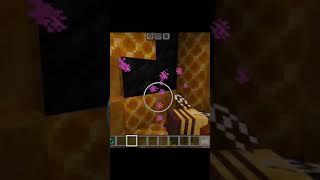 What is inside a bees nest in Minecraft minecraft bees fake memes [upl. by Agem]