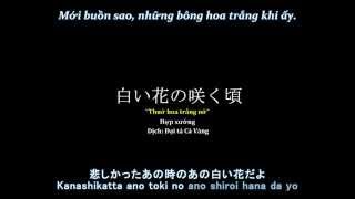 Vietsub Thuở hoa trắng nở 白い花の咲く頃 OST Kokurikozaka kara [upl. by Maddox43]