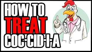 TREATING YOUR CHICKEN FLOCK FOR COCCIDIOSIS WITH CORID  Symptoms and Treatment [upl. by Aittam]