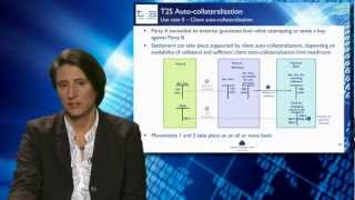 T2S Autocollateralisation  An ECB tutorial [upl. by Bannasch594]