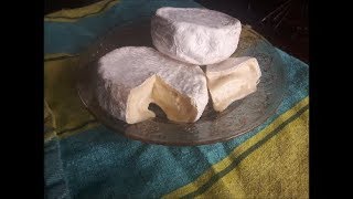 Faire son Camembert Brie  Fermette Familiale Les Biscornus [upl. by Grega977]