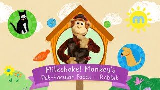 Milkshake Monkeys Pettacular Facts  Rabbit [upl. by Anaul628]