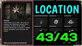 Red Dead Redemption 2  ENCYCLOPÉDIE PLANTES 4343 EMPLACEMENT Guide et soluce [upl. by Nuahsel]