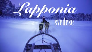 🇸🇪 LAPPONIA svedese 🇸🇪Cosa fare e vedere in 5 giorni Vlog ITA [upl. by Yhtomit]