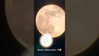 Waning Gibbous Moon 🔭🌖 astronomyequipment telescope lunarphase timelapse [upl. by Jilli]