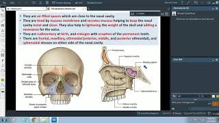 Anatomy of the Paranasal sinuses  Dr Ahmed Farid [upl. by Htiek216]