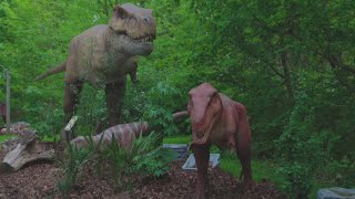 New dinosaur experience coming to Cleveland Metroparks Zoo [upl. by Llerehc24]