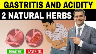 Gastritis Acidity and Indigestion  Ayurvedic Herbs To Treat Gas And Acidity [upl. by Wonacott]