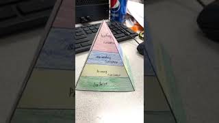 Ecological Pyramid Activity [upl. by Uah]