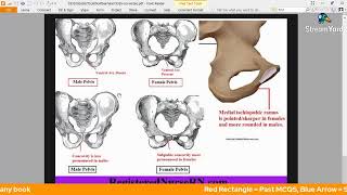 Personal Identity and Trace Evidence Forensic Medicine MCQSSEQSTOS  Proff Prep Series [upl. by Ahasuerus112]