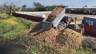 5Day Full Project Great Skill D53A Dozer Cutting Rock Soil into Water amp Heavy Trucks Loading [upl. by Ariajaj]