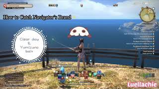 How to Catch Navigator’s Brand Fish in FFXIV [upl. by Anayad]