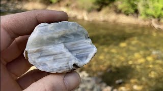 Episode 4  Geologist goes Rockhounding for Agates in Washington State [upl. by Milstone891]