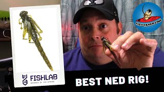 Best Ned Rig Ever fishing bassfishing fishlab [upl. by Leryt157]