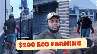 200 Eco Farming in my Compound Abuja Nigeria [upl. by Wobniar]