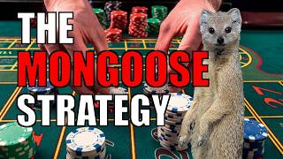 Lose 10 WIN 50  Unlocking Roulettes Mongoose Strategy [upl. by Fisch3]