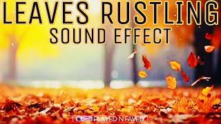 Leaves Rustling Sound Effect [upl. by Idalia967]