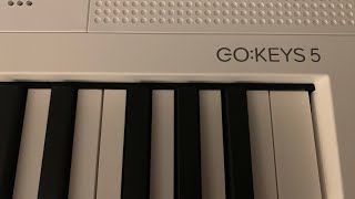 New Roland GoKeys 5  Build Quality Issues  Buyer Beware [upl. by Lucita]