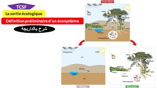 Définition préliminaire dun écosystème svt tcsf شرح بالداريجة [upl. by Lynden895]