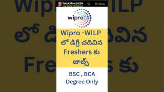 Wipro  WILP Recruitment Update  BSC  BCA Degree Jobs jobs2024 shortsviral itjobs2024 [upl. by Wildermuth]