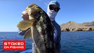 Stoked to Be Back in Cedros Island Calico Bass Fishing [upl. by Geof]