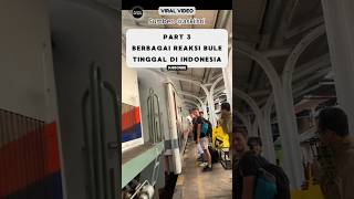 Reaksi Bule Tinggal Di Indonesia Pohon Besar Bikin Kesurupan⁉️ reaksibule shorts viralvideo [upl. by Hurst]