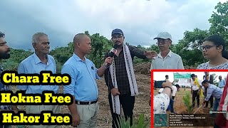 Free oil Palm Chara Hakor ni Rang Free Hoknani Rang Free phalnabo Kwlaikhwlaina Muchung khe Sadi [upl. by Gillan]