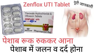 Zenflox UTI Tablet Use in Hindi Peshab me jalan ki dawai Bar Bar Peshab aane ki problem ki dawa [upl. by Kappel]