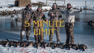 Last Day Canada Goose Hunt 5 minute limit on Farm Pond [upl. by Alecia]