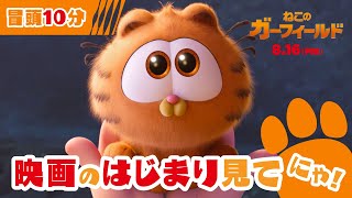 ＼見てニャ🐾／ 映画『ねこのガーフィールド』冒頭10分を大公開🧡  8月16日（金）全国公開 [upl. by Aniaj]