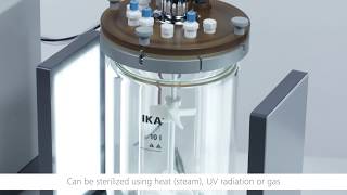 Growing algae made easy – The IKA Algaemaster 10 control [upl. by Brocklin376]