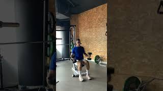 Seated Strict Biceps Curl  2 DBs shorts sports rehabilitation motivation biceps pain [upl. by Lorsung]