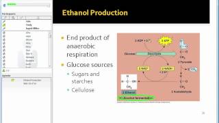 Enzyme Kinetics A Biofuels Case Study [upl. by Yelssew]