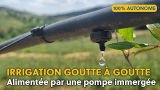 POMPAGE SOLAIRE POUR LIRRIGATION EN GOUTTE A GOUTTE [upl. by Shishko]