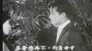 Connie Chan 陳寶珠呂奇 姑娘十八一朵花 選輯片段 1966 [upl. by Kathrine]