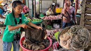 Market show amp Cooking  Chef pich buy beef tripe and beef intestine for cooking  3 country chefs [upl. by Norrabal]